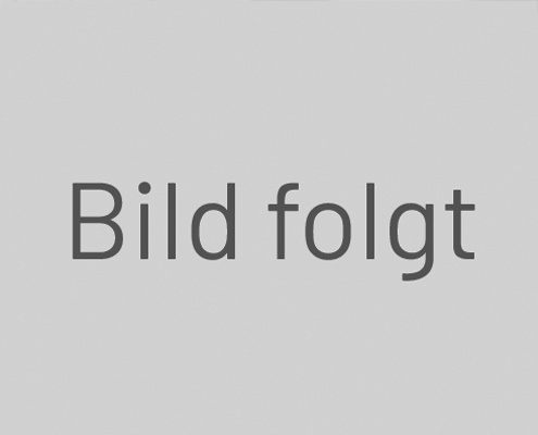 Bild folgt-png-24.png